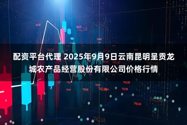 配资平台代理 2025年9月9日云南昆明呈贡龙城农产品经营股份有限公司价格行情