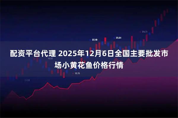 配资平台代理 2025年12月6日全国主要批发市场小黄花鱼价格行情