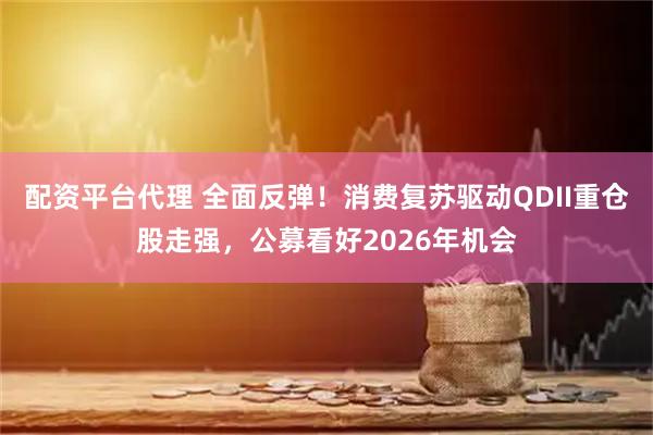 配资平台代理 全面反弹！消费复苏驱动QDII重仓股走强，公募看好2026年机会
