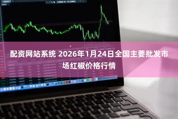 配资网站系统 2026年1月24日全国主要批发市场红椒价格行情